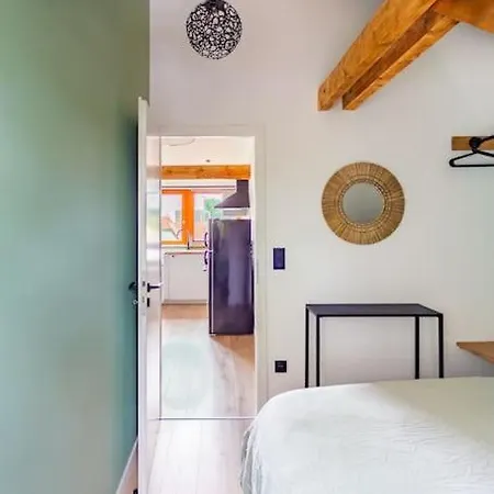 Le Charme De L'ancien Allié Au Contemporain * Schiltigheim