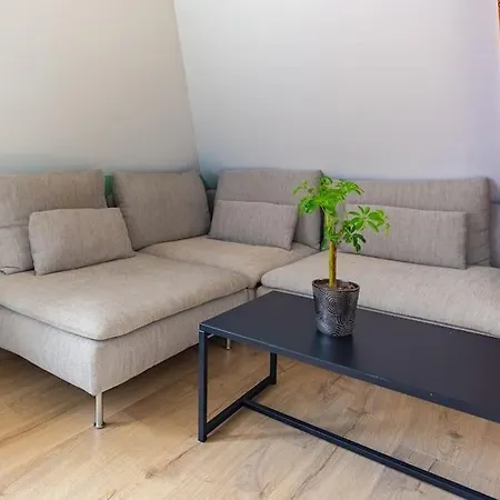 Appartement Le Charme De L'ancien Allié Au Contemporain *