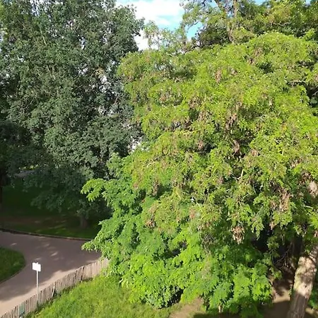 Le Charme De L'ancien Allié Au Contemporain Schiltigheim