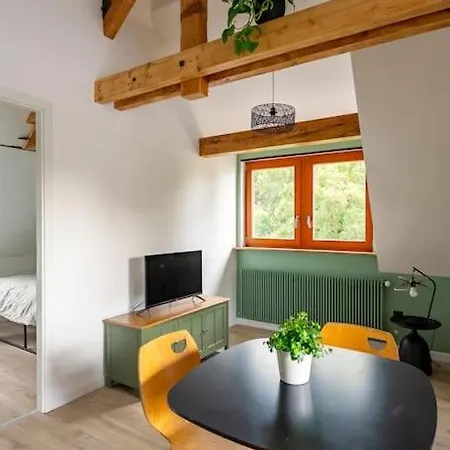 Le Charme De L'ancien Allie Au Contemporain Apartment *