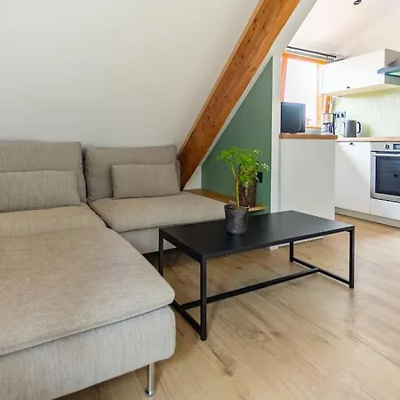 Le Charme De L'ancien Allié Au Contemporain