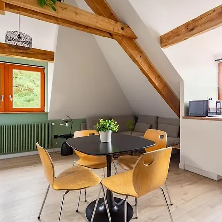 Le Charme De L'ancien Allié Au Contemporain Appartement